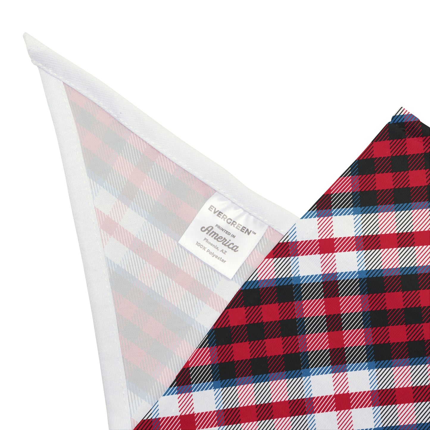 Dog Bandana - 2023 Tavishford