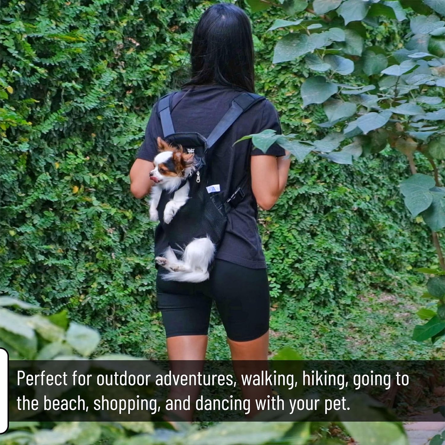 Dog carrier backpack up to 12 lbs small dog inside comfortable fit