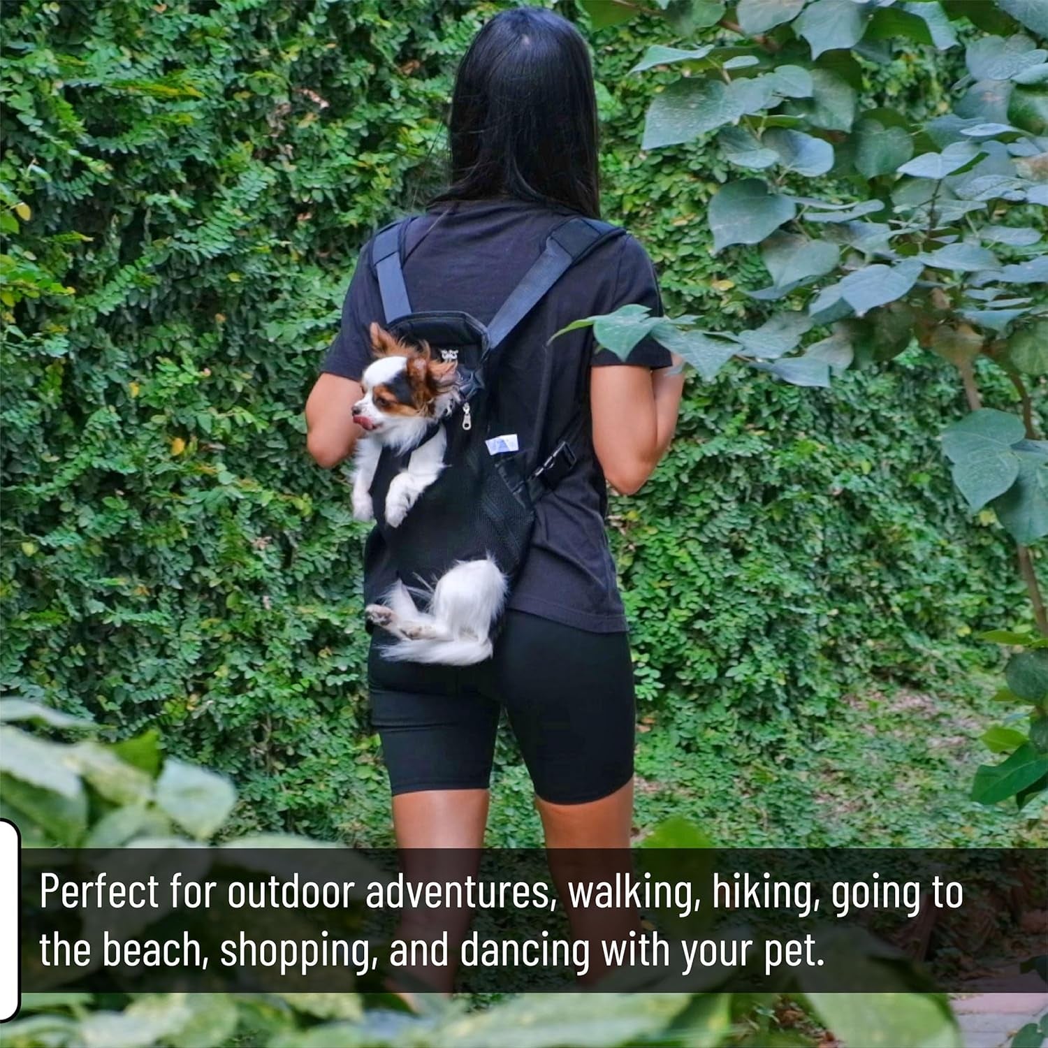 Dog carrier backpack up to 12 lbs small dog inside comfortable fit