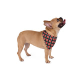 Dog Bandana - 2023 Blackglen