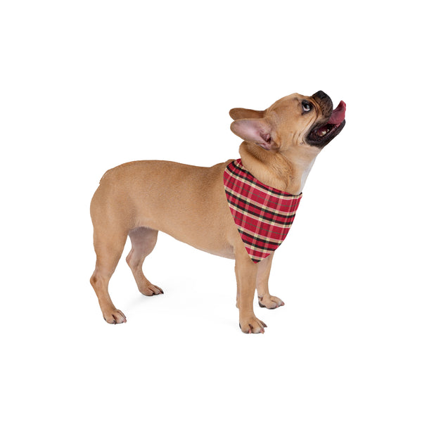 Dog Bandana - 2023 Drummondly