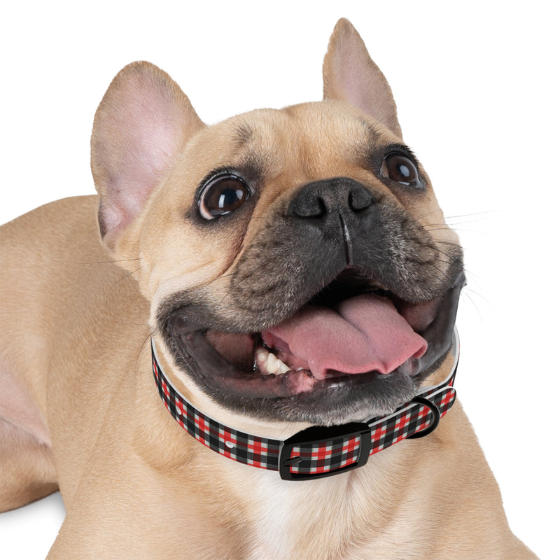 PlaidFur Signature Series Collar - 2023 Blackglen
