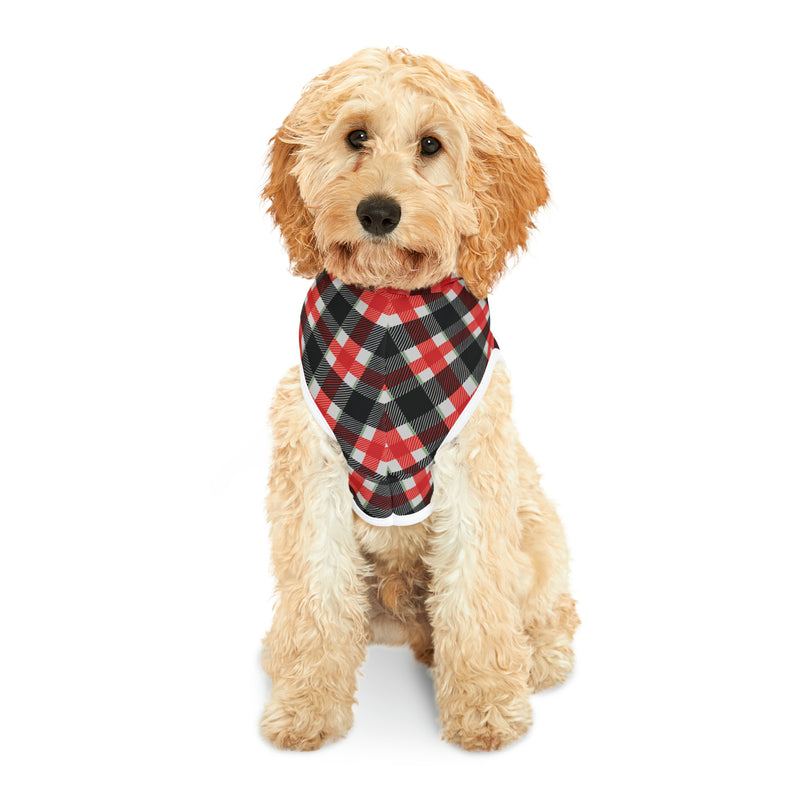 "Snug Paws" Dog Hoodie - 2023 Blackglen