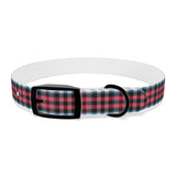 PlaidFur Signature Series Collar - 2023 Kincaird