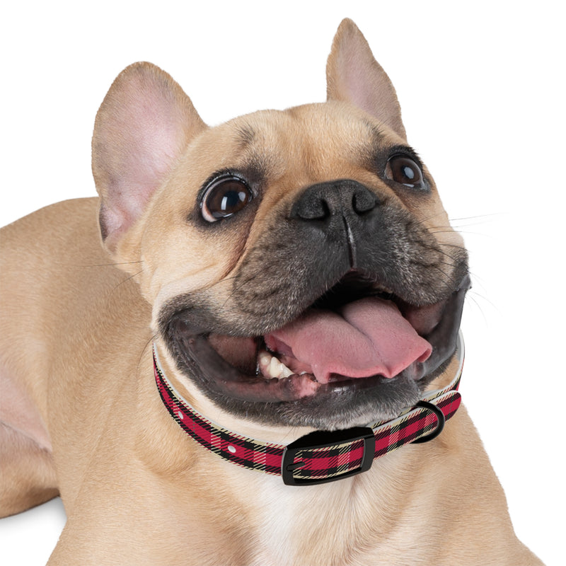 PlaidFur Signature Series Collar - 2023 Drummondly