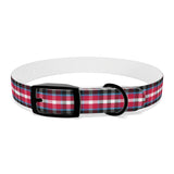 PlaidFur Signature Series Collar - 2023 Falconar