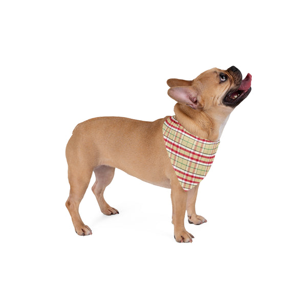Dog Bandana - 2023 Craigmorrow