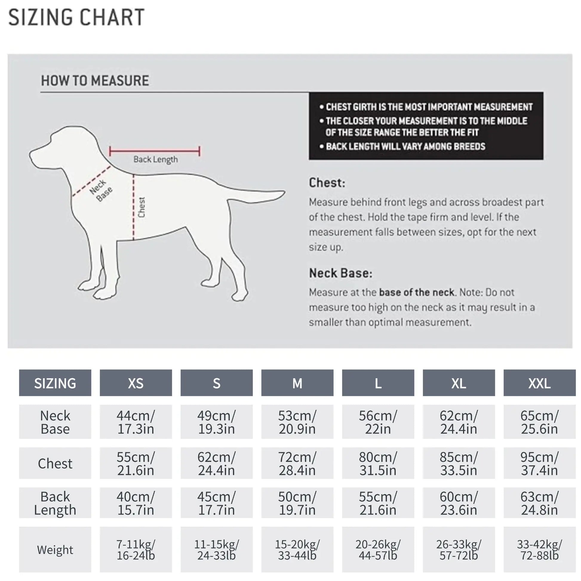 Winter reflective dog coat worn by medium dog outdoor walk