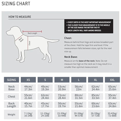 Winter reflective dog coat worn by medium dog outdoor walk