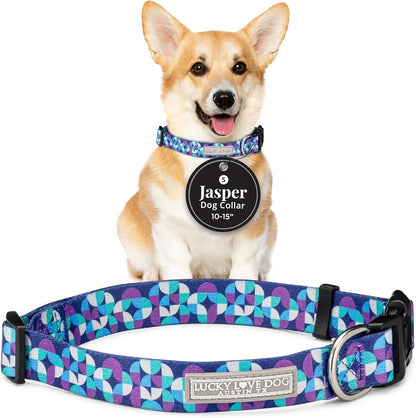 Adjustable dog collar small dogs easy click buckle close up detail