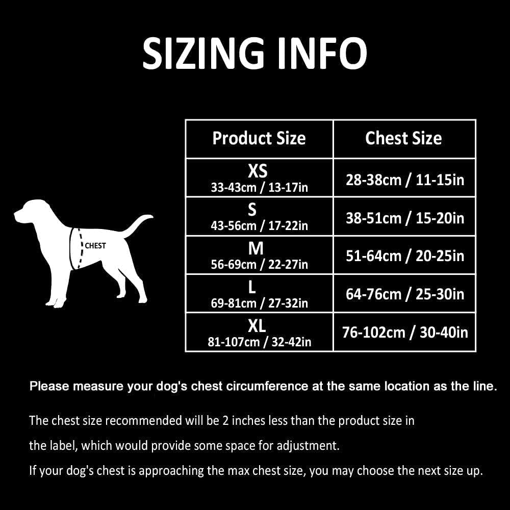 No pull dog harness reflective 3M straps close up detail