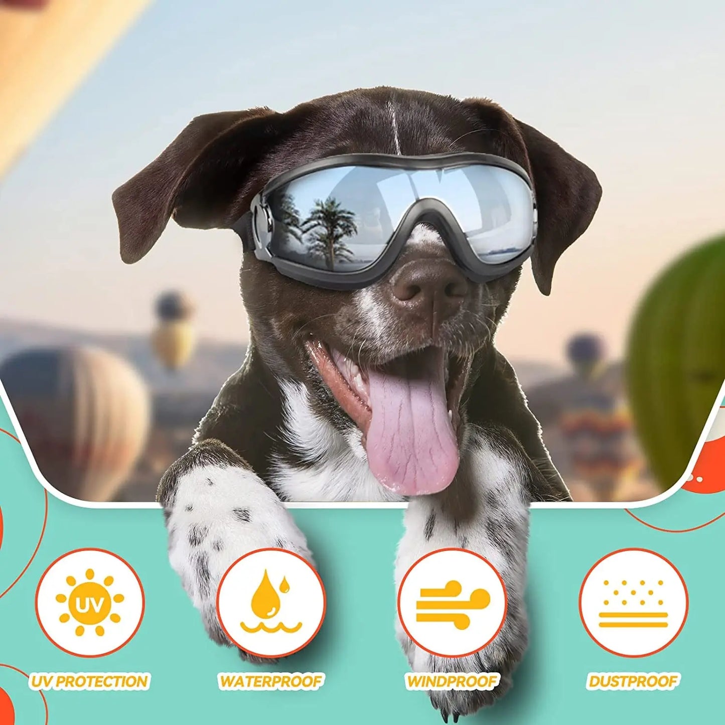 Dog Sun Glasses for Large Dog