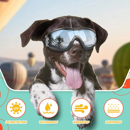 Dog Sun Glasses for Large Dog