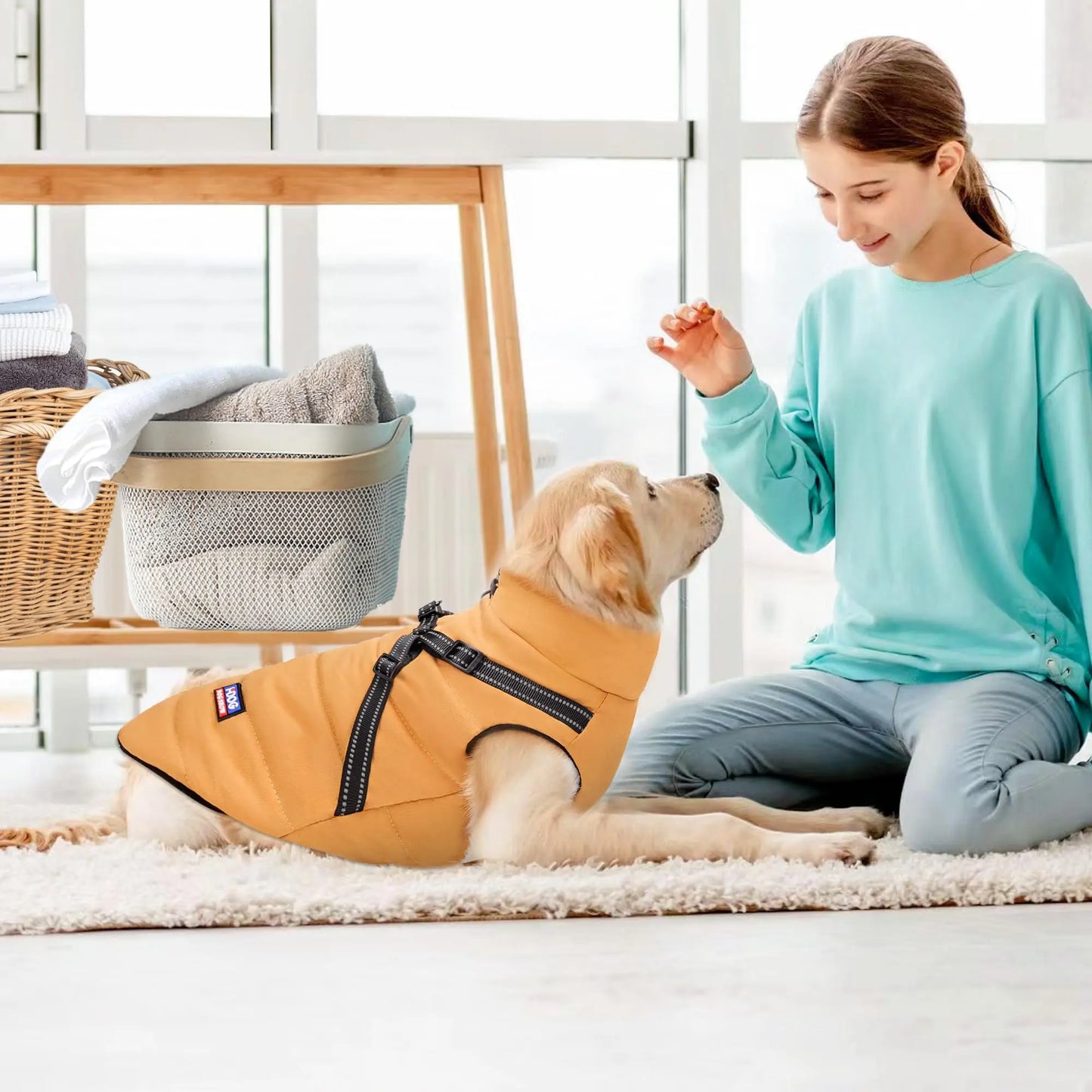 Dog Winter Jacket with Reflective Harness, Jujubak Zipper Warm Dog Winter Coat, Windproof Dog Snow Jacket, Dog Puffy Jacket for Small Medium Dogs-Bright Yellow(M)