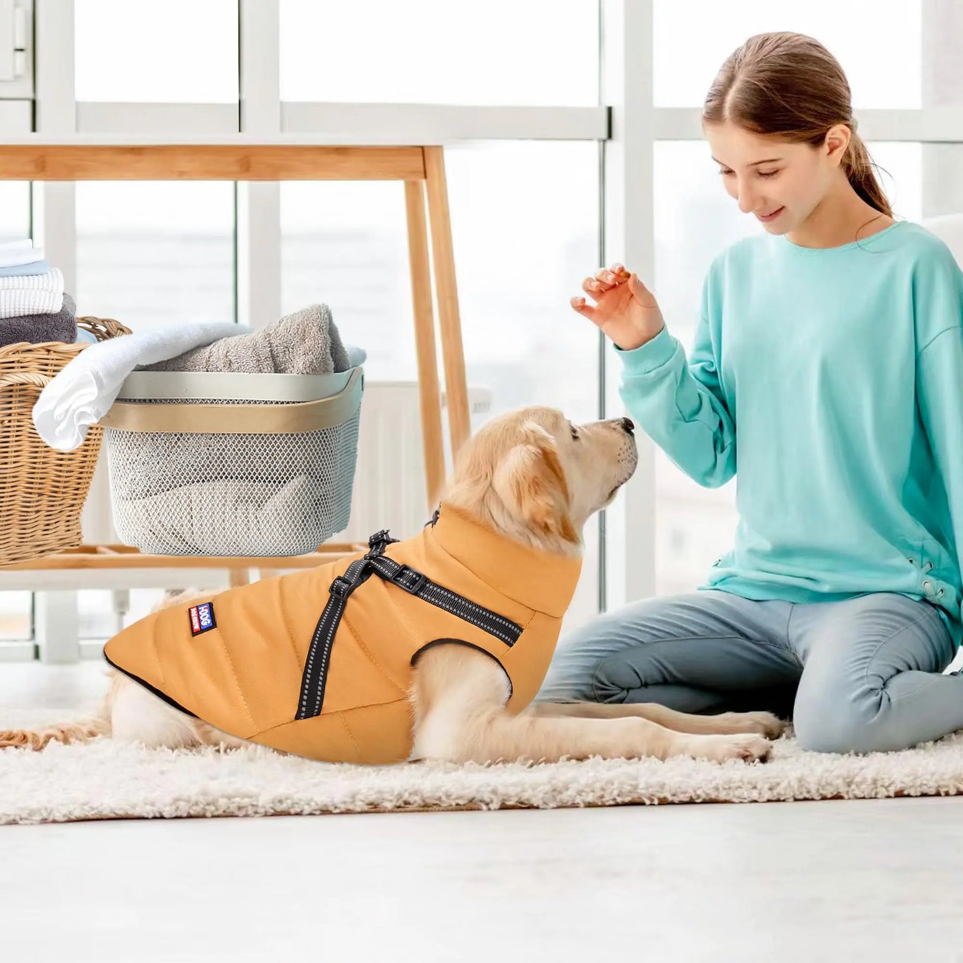 Dog Winter Jacket with Reflective Harness, Jujubak Zipper Warm Dog Winter Coat, Windproof Dog Snow Jacket, Dog Puffy Jacket for Small Medium Dogs-Bright Yellow(M)