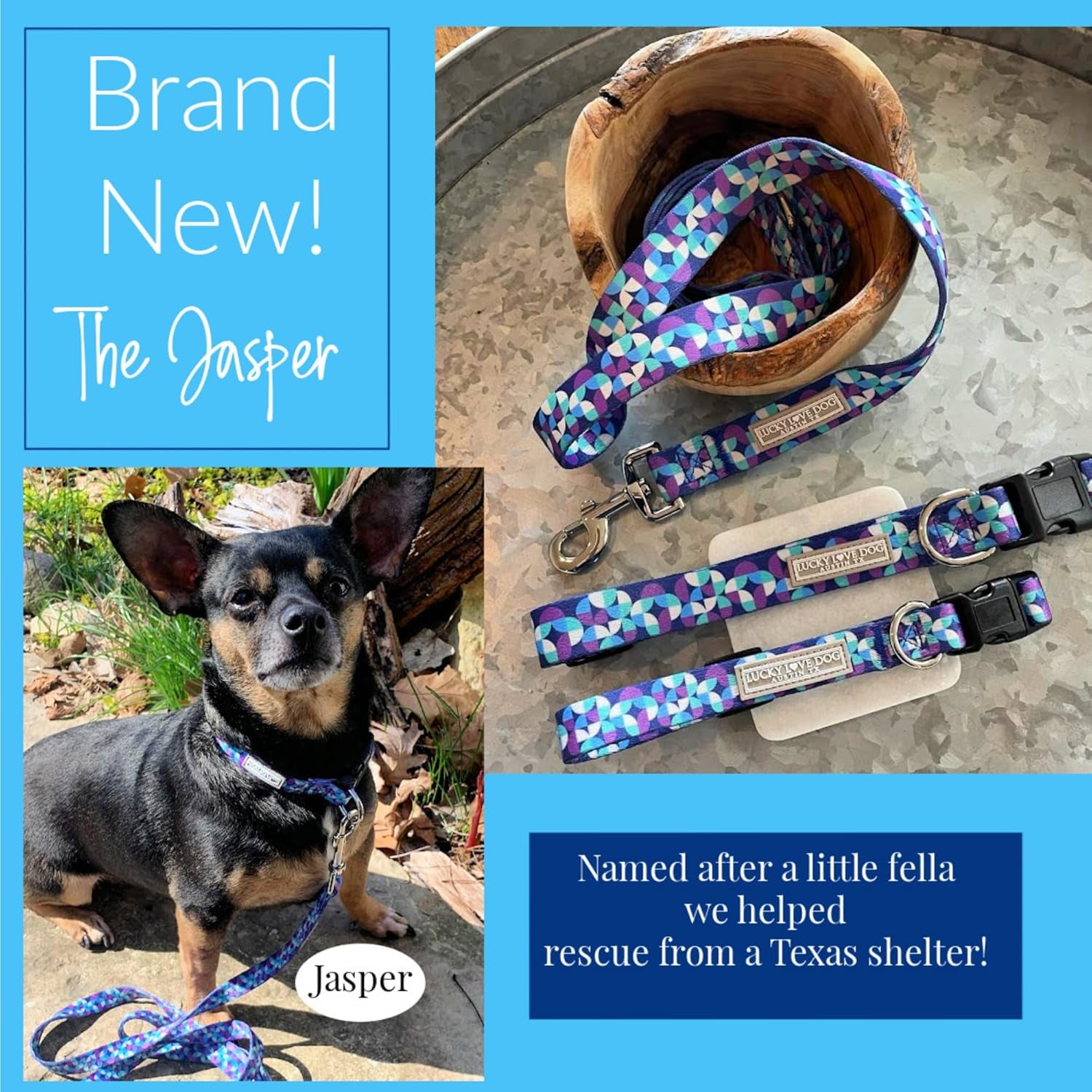 Adjustable dog collar small dogs worn by puppy outdoor side view