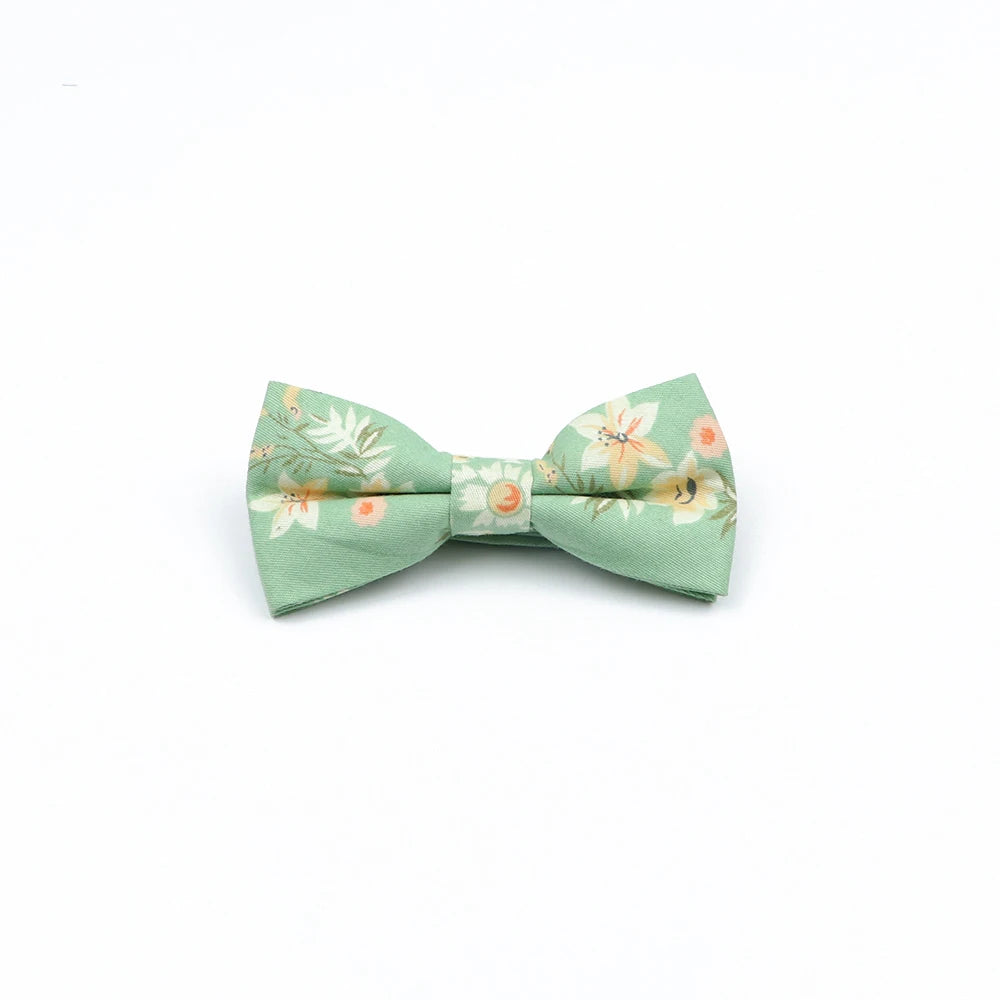 Family matching bow tie set worn by child and pet coordinated look