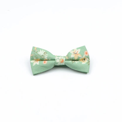 Family matching bow tie set worn by child and pet coordinated look