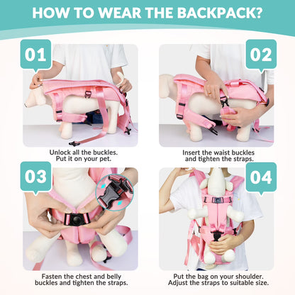 Pet carrier backpack small dogs dog inside ventilated compartment