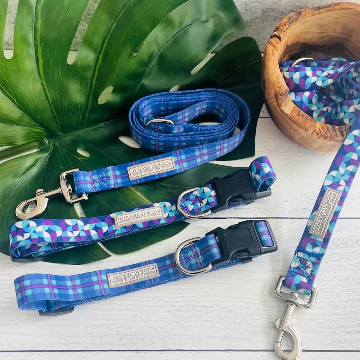 Adjustable dog collar small dogs with matching leash set flat lay