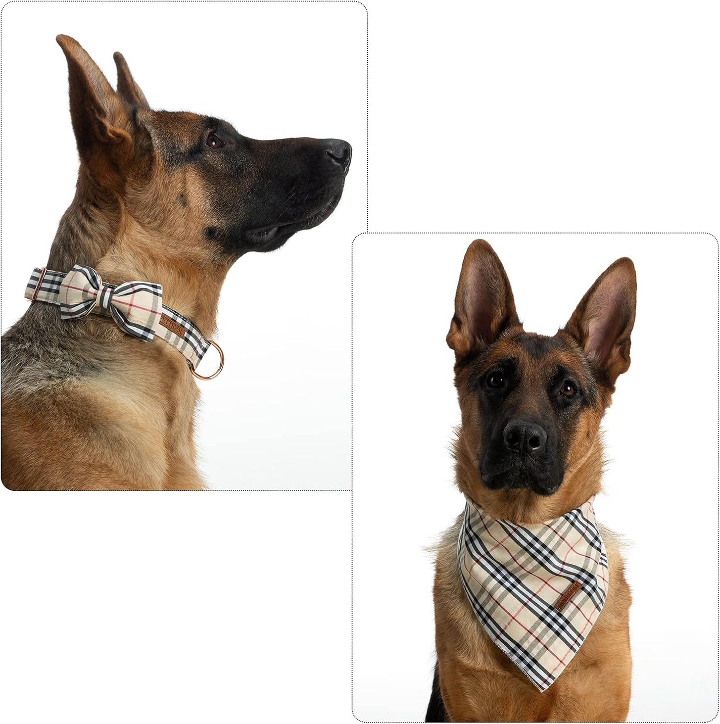 Cute dog collar with bow tie full set collar and scarf together