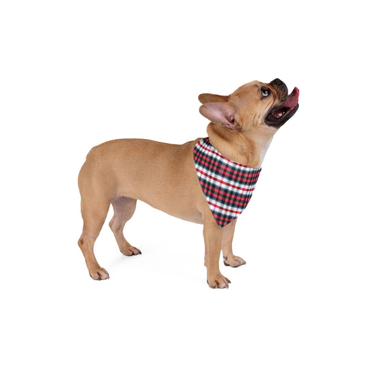 Dog Bandana - 2023 Kincaird