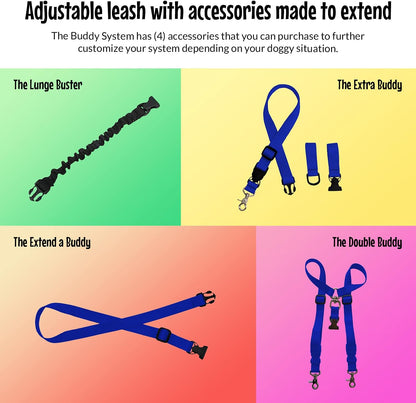 Hands free dog leash for running royal blue waist belt front view