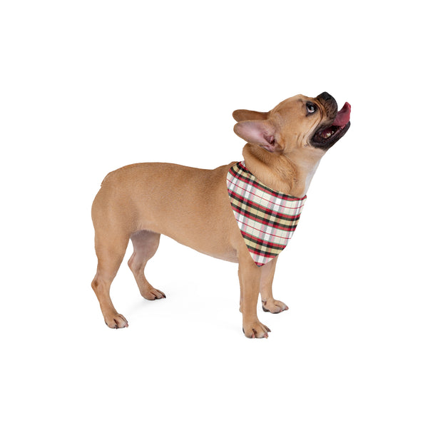 Dog Bandana - 2023 Dunbroch