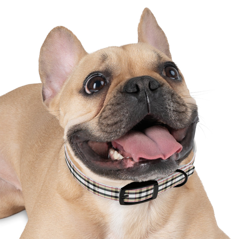 PlaidFur Signature Series Collar - 2023 Munrovia