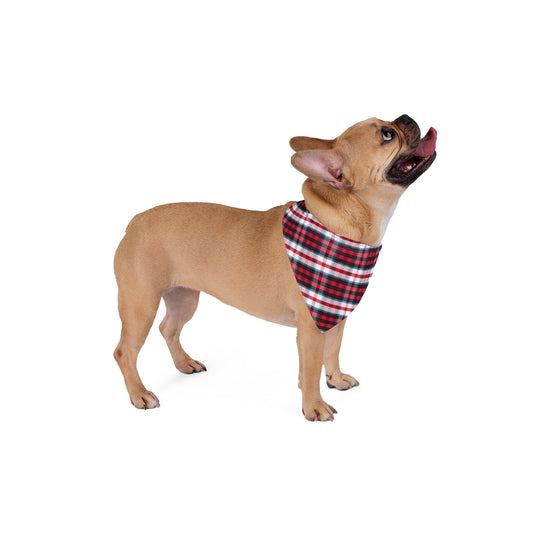 Dog Bandana - 2023 Tavishford