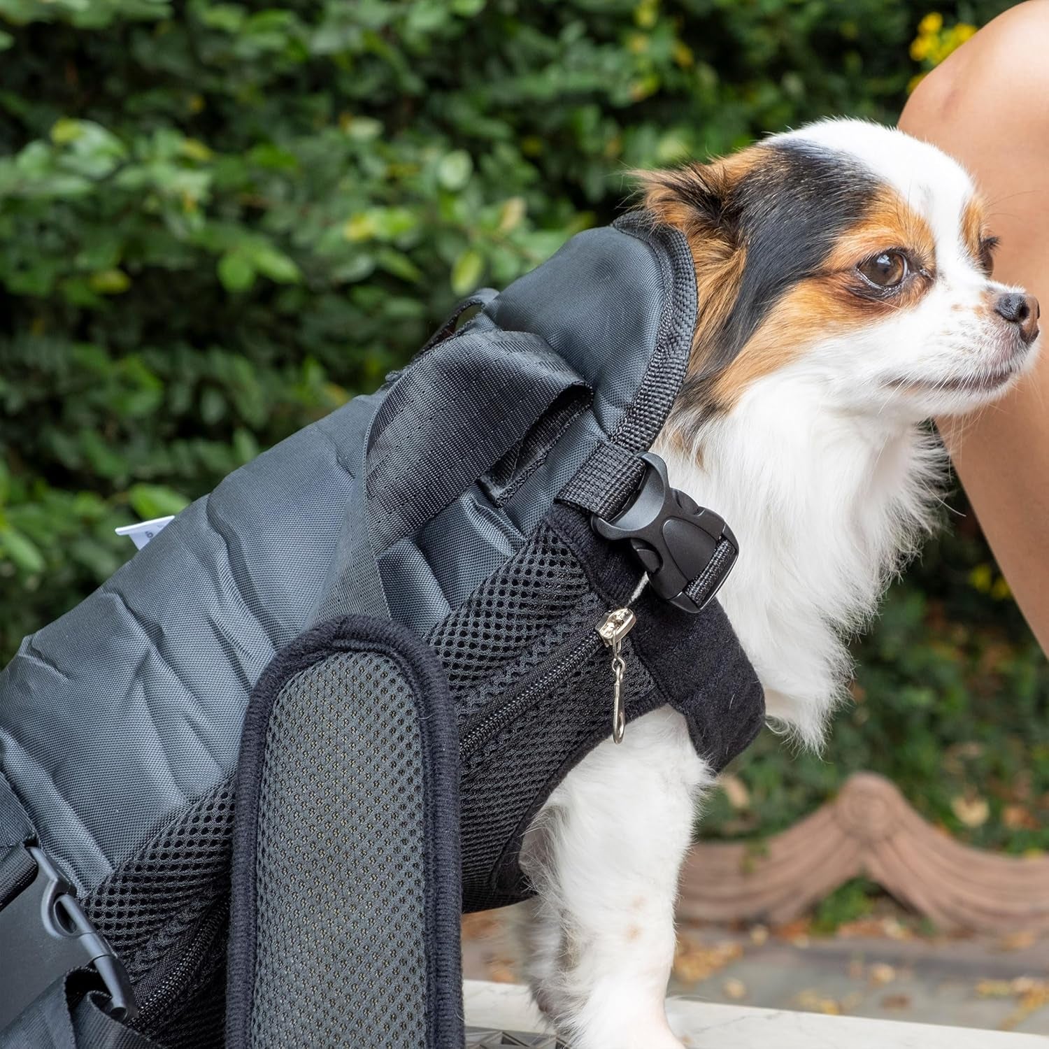 Dog carrier backpack up to 12 lbs back wear position outdoor use