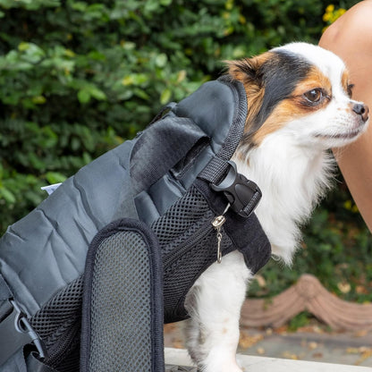 Dog carrier backpack up to 12 lbs back wear position outdoor use