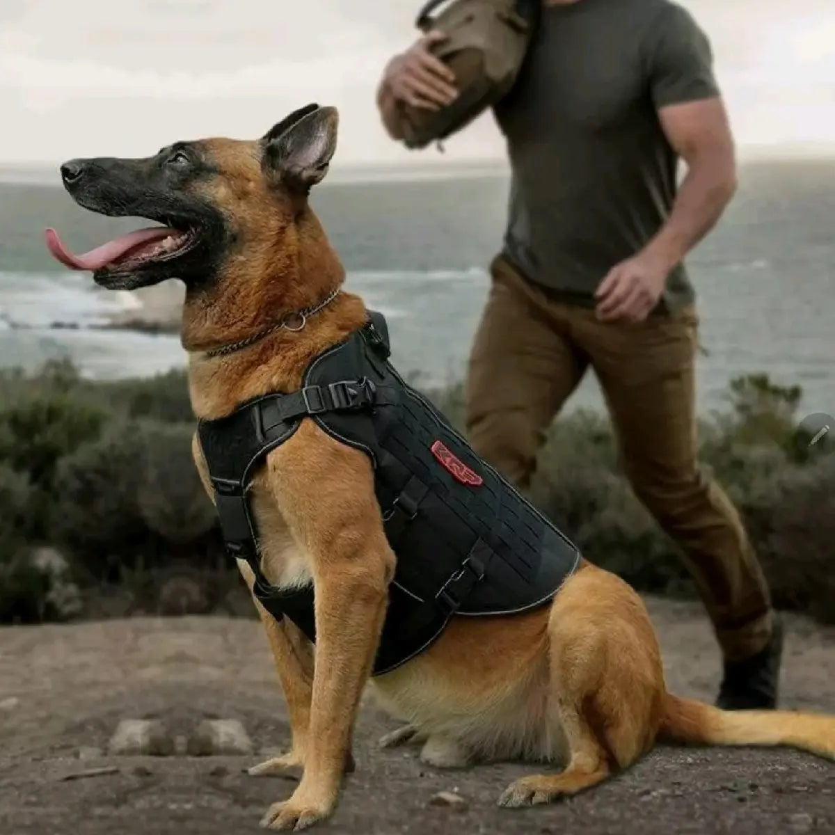 Tactical dog harness no pull size chart M L XL measurement guide