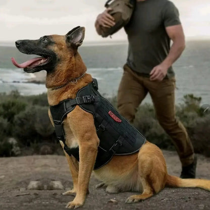 Tactical dog harness no pull size chart M L XL measurement guide