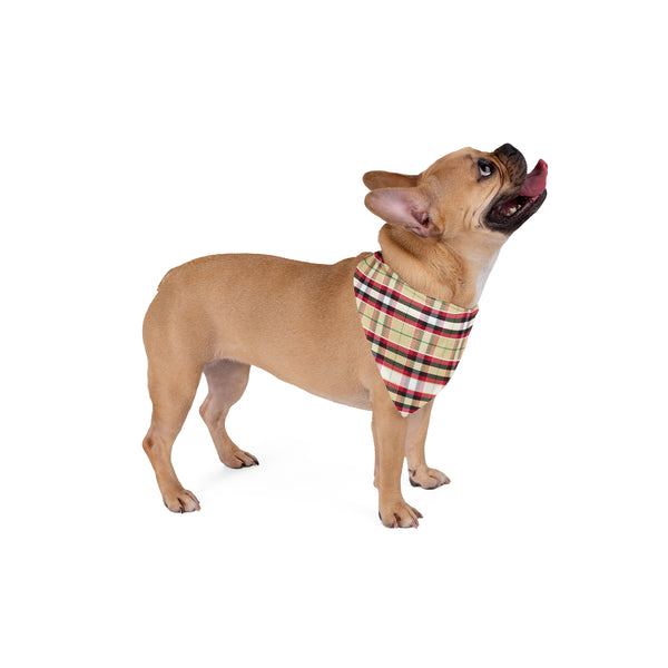 Dog Bandana - 2023 Macbaird