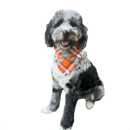 Fall Sunset Nights Scrunchie Fringe Dog Bandana