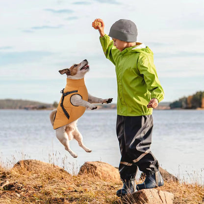 Dog Winter Jacket with Reflective Harness, Jujubak Zipper Warm Dog Winter Coat, Windproof Dog Snow Jacket, Dog Puffy Jacket for Small Medium Dogs-Bright Yellow(M)