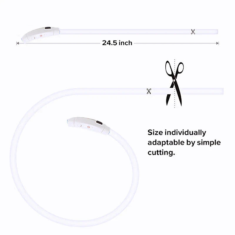 USB Rechargeable LED Glowing Dog Collar – Adjustable Night Safety