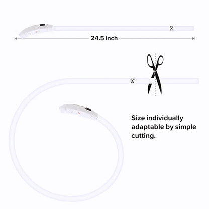 USB Rechargeable LED Glowing Dog Collar – Adjustable Night Safety