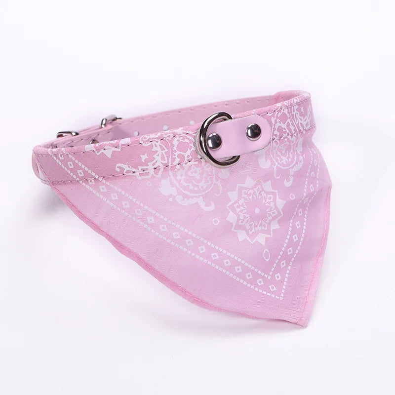 PU cat dog collar with scarf blue multiple color options flat lay