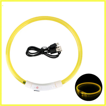 USB Rechargeable LED Glowing Dog Collar – Adjustable Night Safety