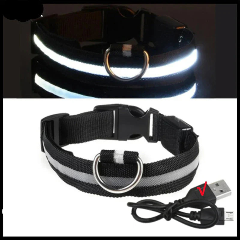 USB Rechargeable LED Glowing Dog Collar – Adjustable Night Safety