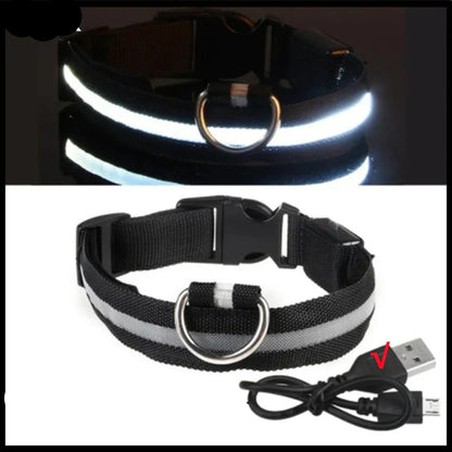 USB Rechargeable LED Glowing Dog Collar – Adjustable Night Safety