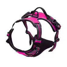 FurencePet™ ClassicWalk: Premium Harness & Leash Set