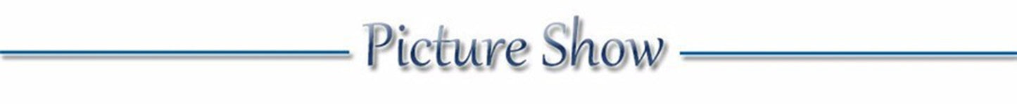 USB Rechargeable LED Glowing Dog Collar – Adjustable Night Safety