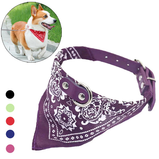 PU cat dog collar with scarf purple adjustable buckle front view