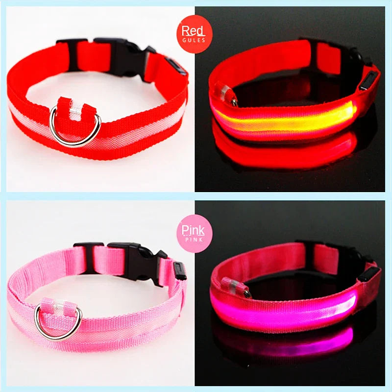 USB Rechargeable LED Glowing Dog Collar – Adjustable Night Safety