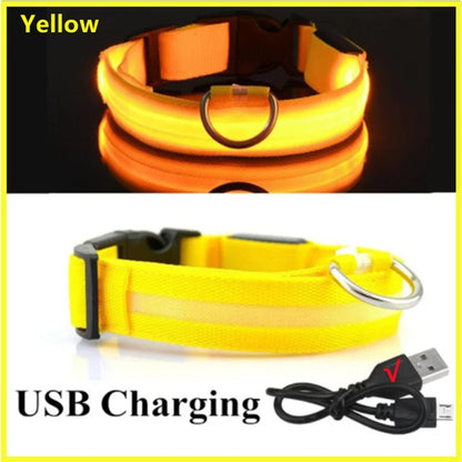 USB Rechargeable LED Glowing Dog Collar – Adjustable Night Safety