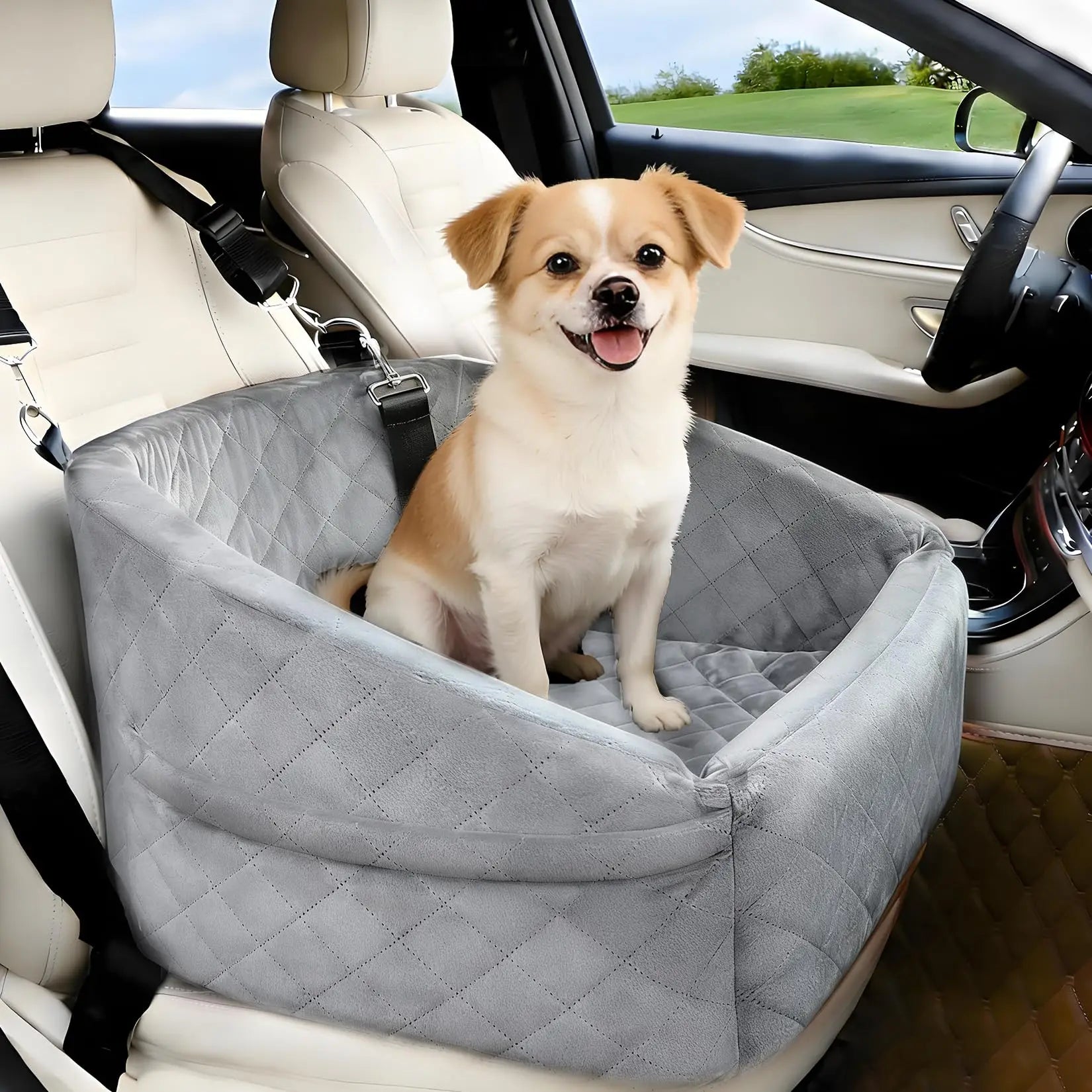 Dog booster car seat installed in car back seat full view