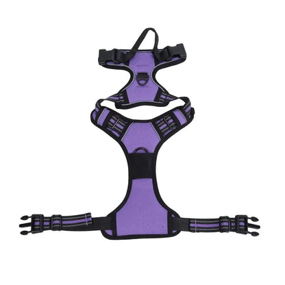 FurencePet™ ClassicWalk: Premium Harness & Leash Set